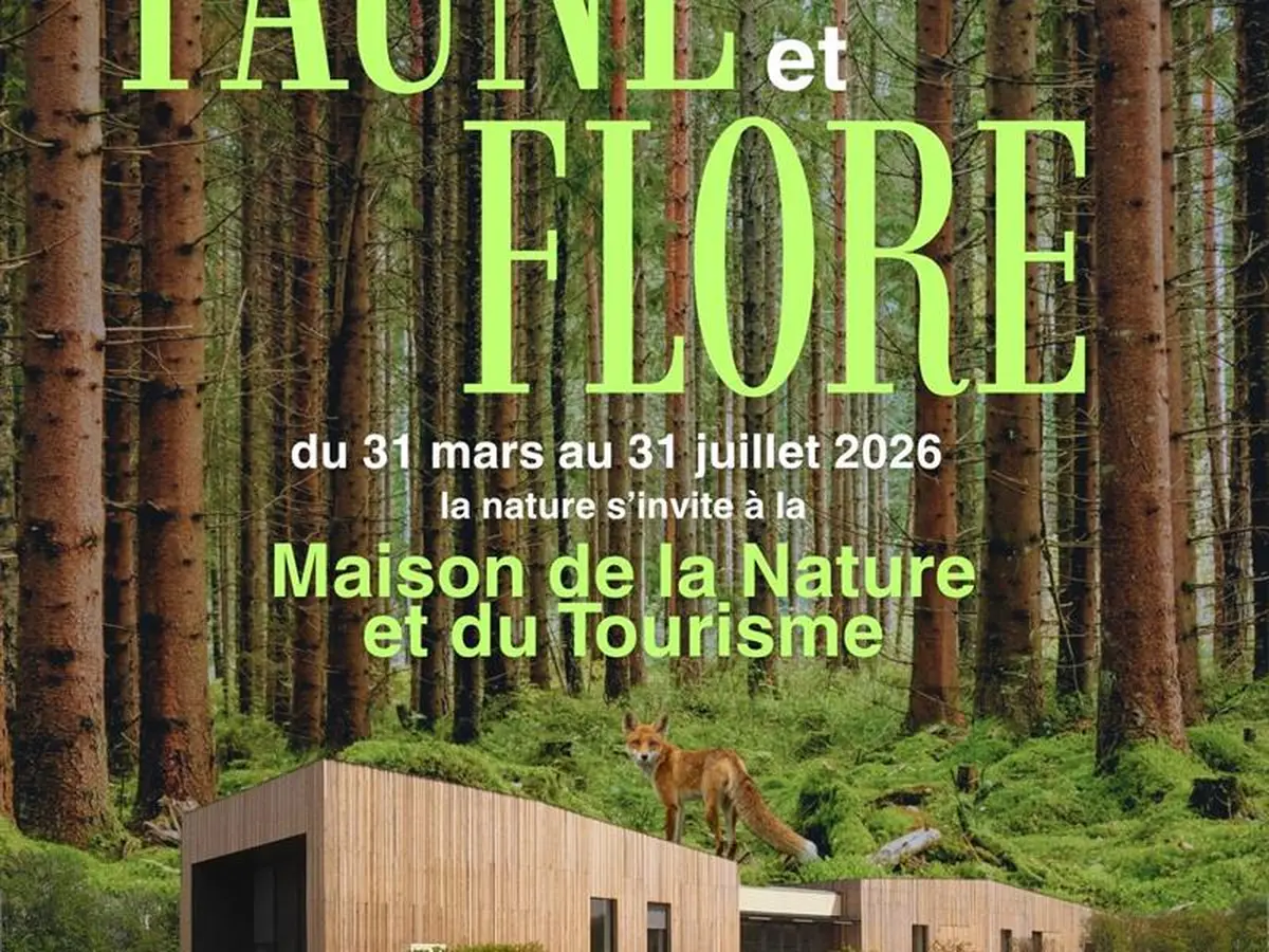 Nouveau cycle Faune et Flore
