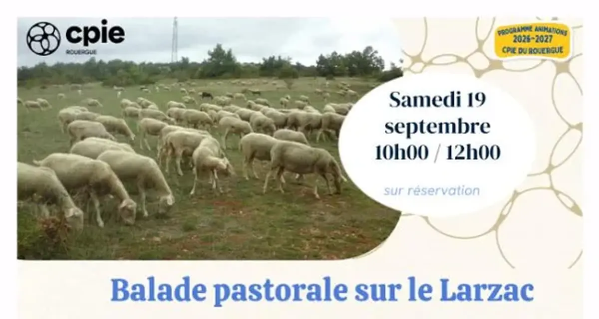 Nouveauté 2026 -  Balade pastorale sur le Larzac  avec le CPIE