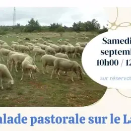 Nouveauté 2026 -  Balade pastorale sur le Larzac  avec le CPIE