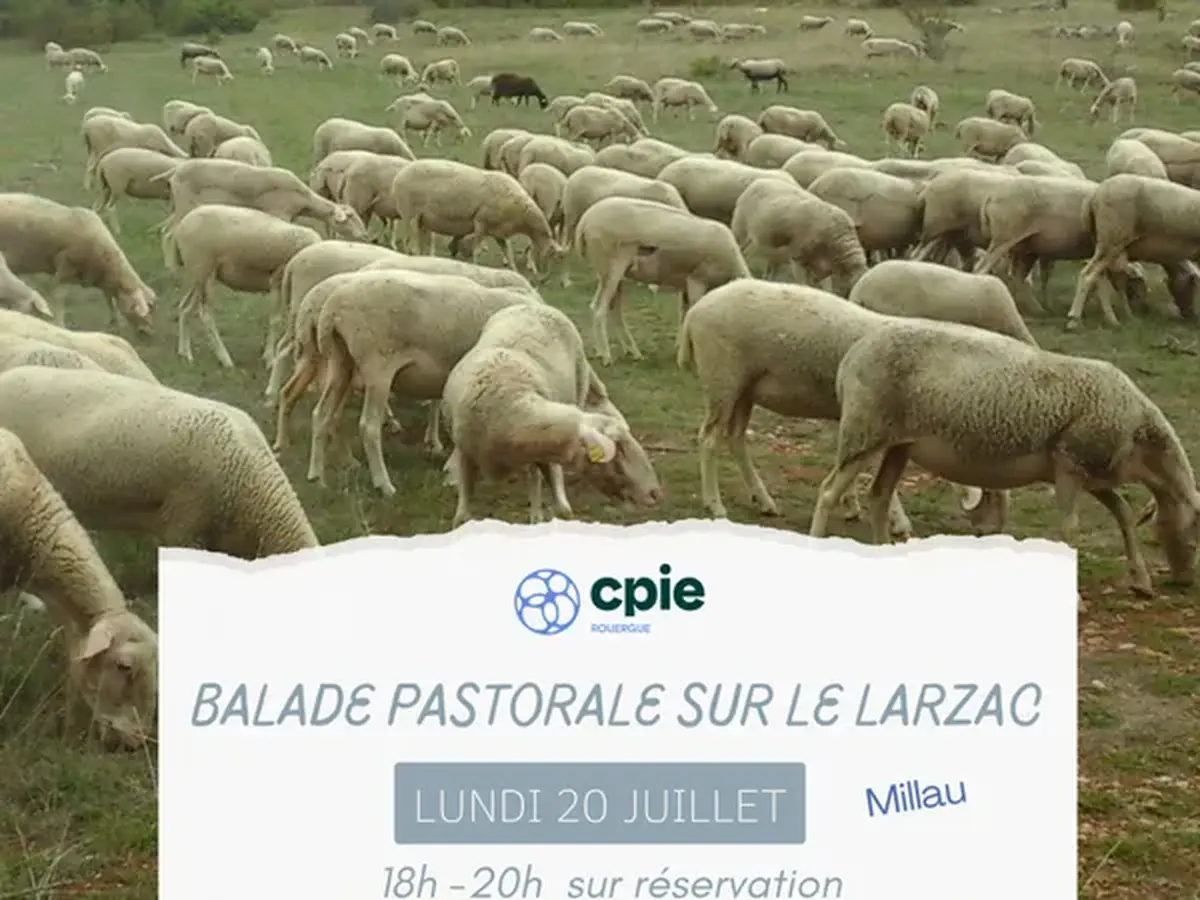 Nouveauté 2026 -  Balade pastorale sur le Larzac  avec le CPIE