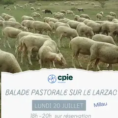 Nouveauté 2026 -  Balade pastorale sur le Larzac  avec le CPIE