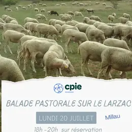 Nouveauté 2026 -  Balade pastorale sur le Larzac  avec le CPIE