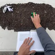 Nouvelle Lecture Publique • Le Comité De Lecture Publique