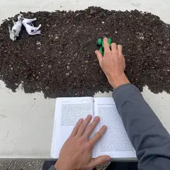 Nouvelle Lecture Publique • Le Comité De Lecture Publique