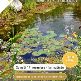 Novembre Un Mois Une Action  restauration d'une mare avec la Maison de la Loire