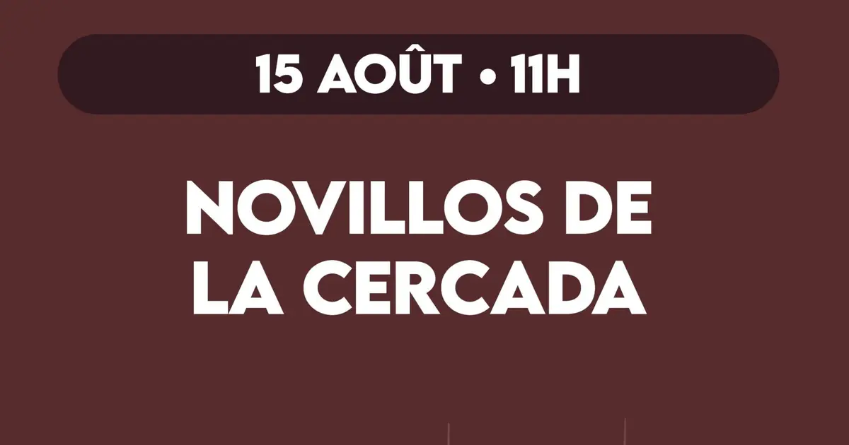 Novillada piquée