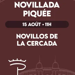 Novillada piquée