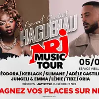 NRJ Music Tour Haguenau 2026 : quels artistes seront présents ? DR
