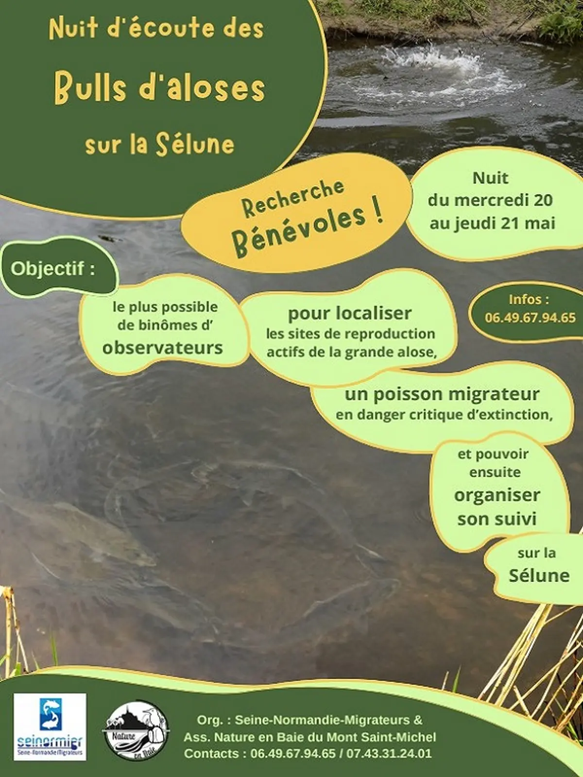Nuit d'écoute des bulls d'aloses