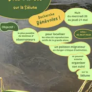 Nuit d'écoute des bulls d'aloses