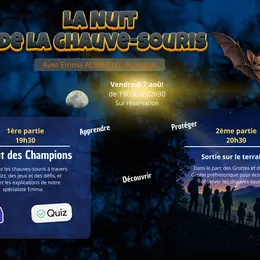 Nuit de la chauve-souris