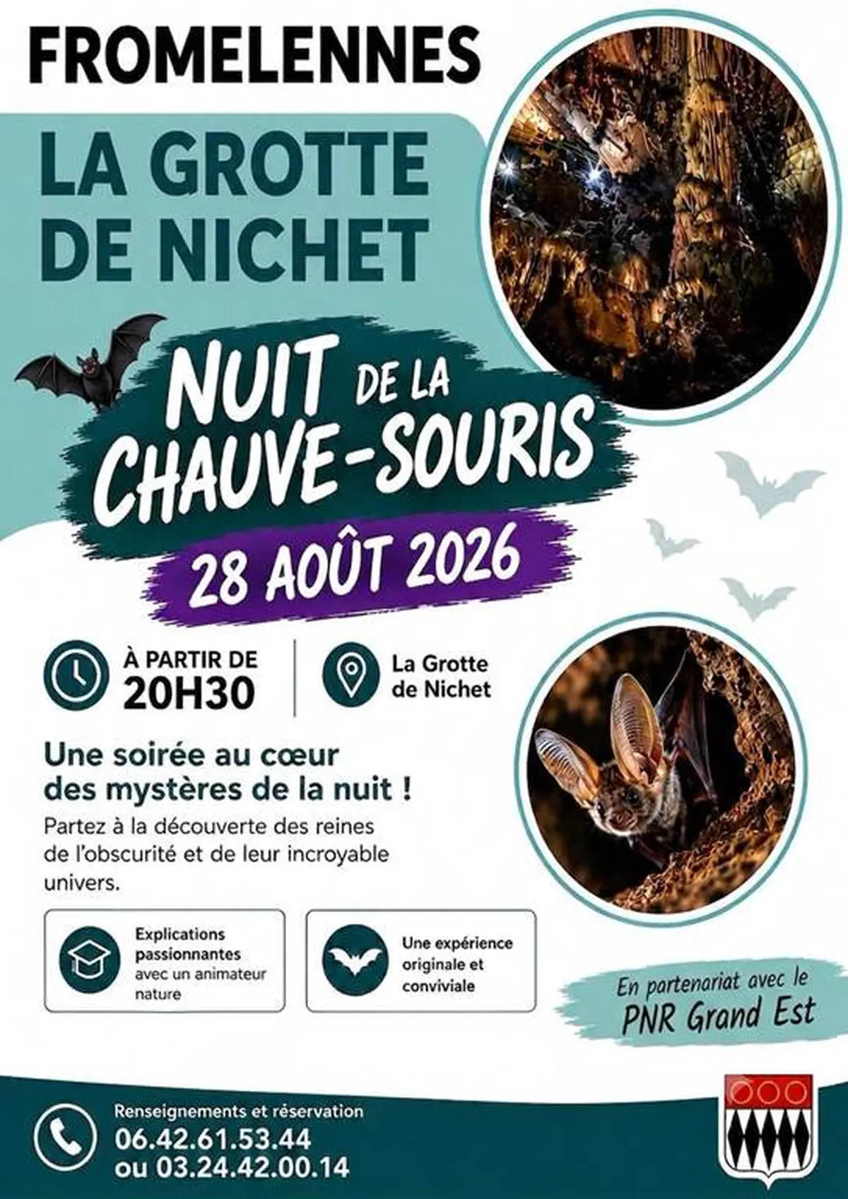 Nuit de la Chauve-souris