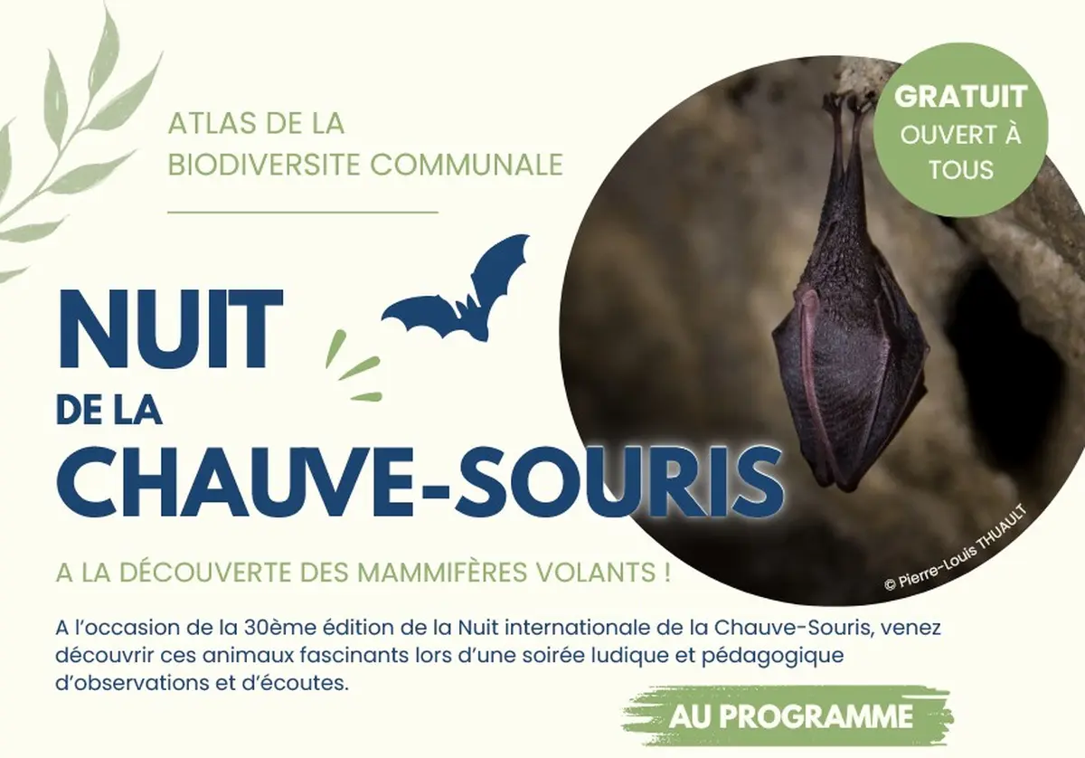 Nuit de la chauve-souris