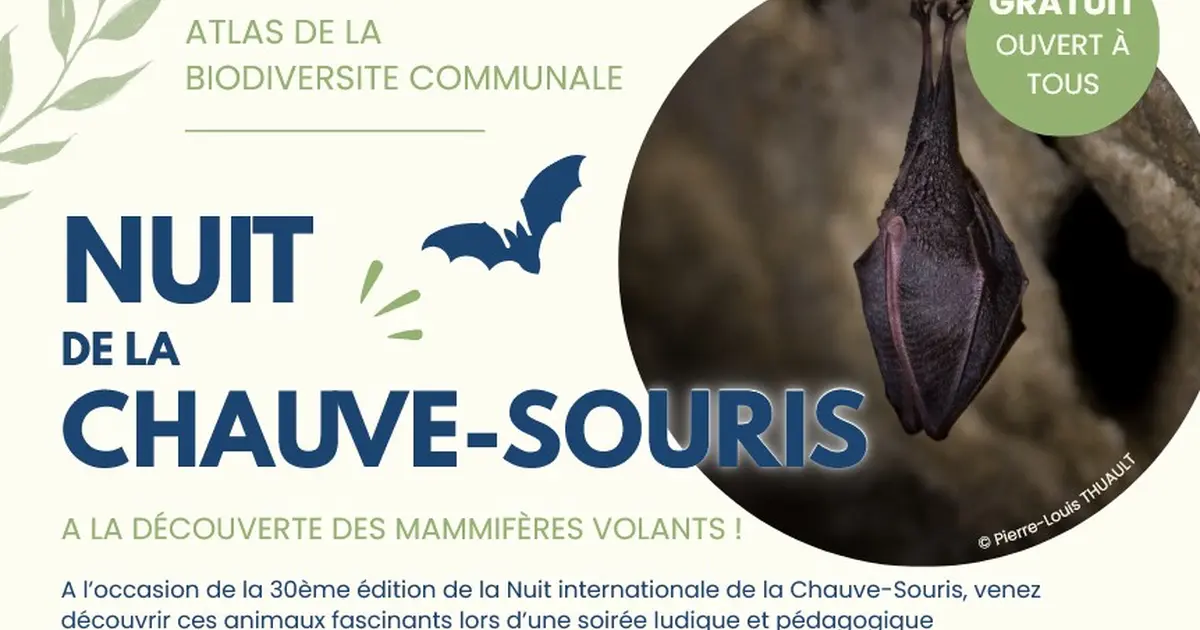 Nuit de la chauve-souris