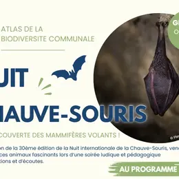 Nuit de la chauve-souris