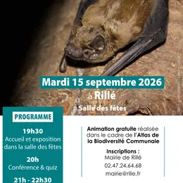 Nuit de la chauve-souris