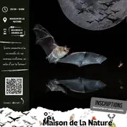 Nuit de la Chauve-Souris