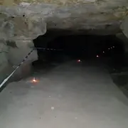 Nuit de la chauve-souris