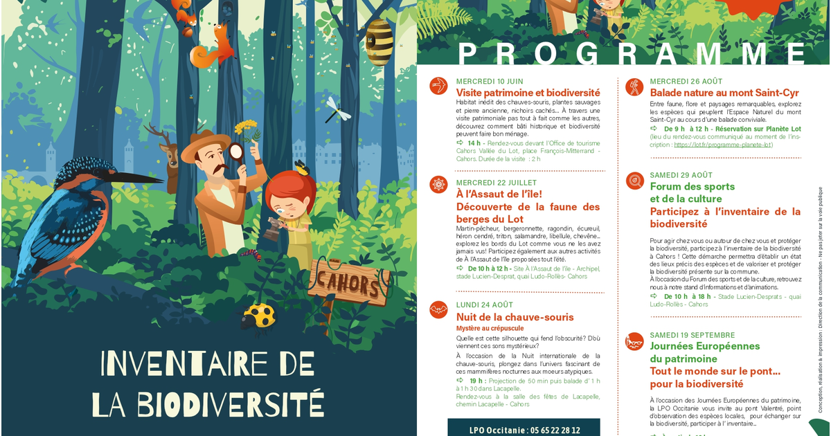 Nuit de la chauve-souris : projection et balade nocturne