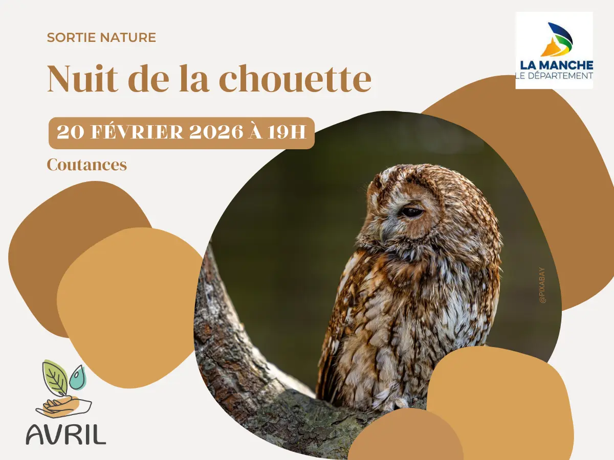 Nuit de la Chouette