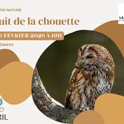 Nuit de la Chouette