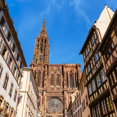 Nuit des Cathédrales à Strasbourg 2024