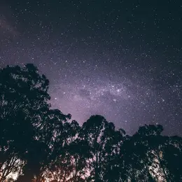 Nuit des étoiles au Musée de l'Hydraviation