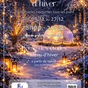 Nuit des lumières  - Noël à Chouzy-sur-Cisse