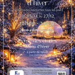 Nuit des lumières  - Noël à Chouzy-sur-Cisse