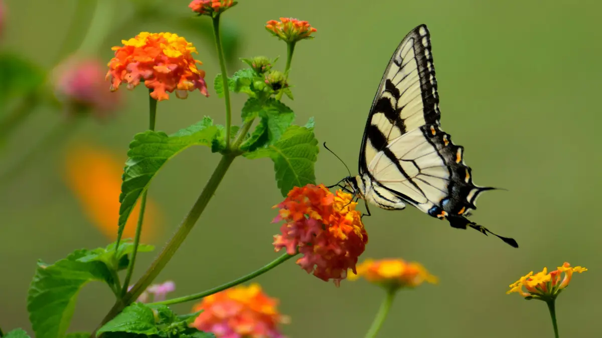 Nuit des Musées à Beautiran
