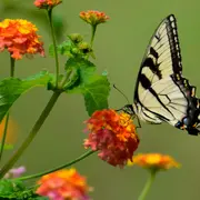 Nuit des Musées à Beautiran