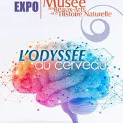 Nuit des Musées au Musée des Beaux-Arts et d'Histoire Naturelle