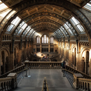 Nuit des musées | Un musée dans le noir