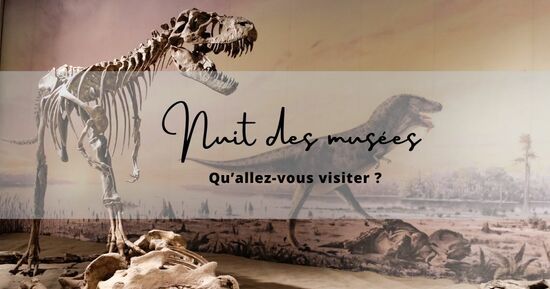 Nuit des Mus&eacute;es