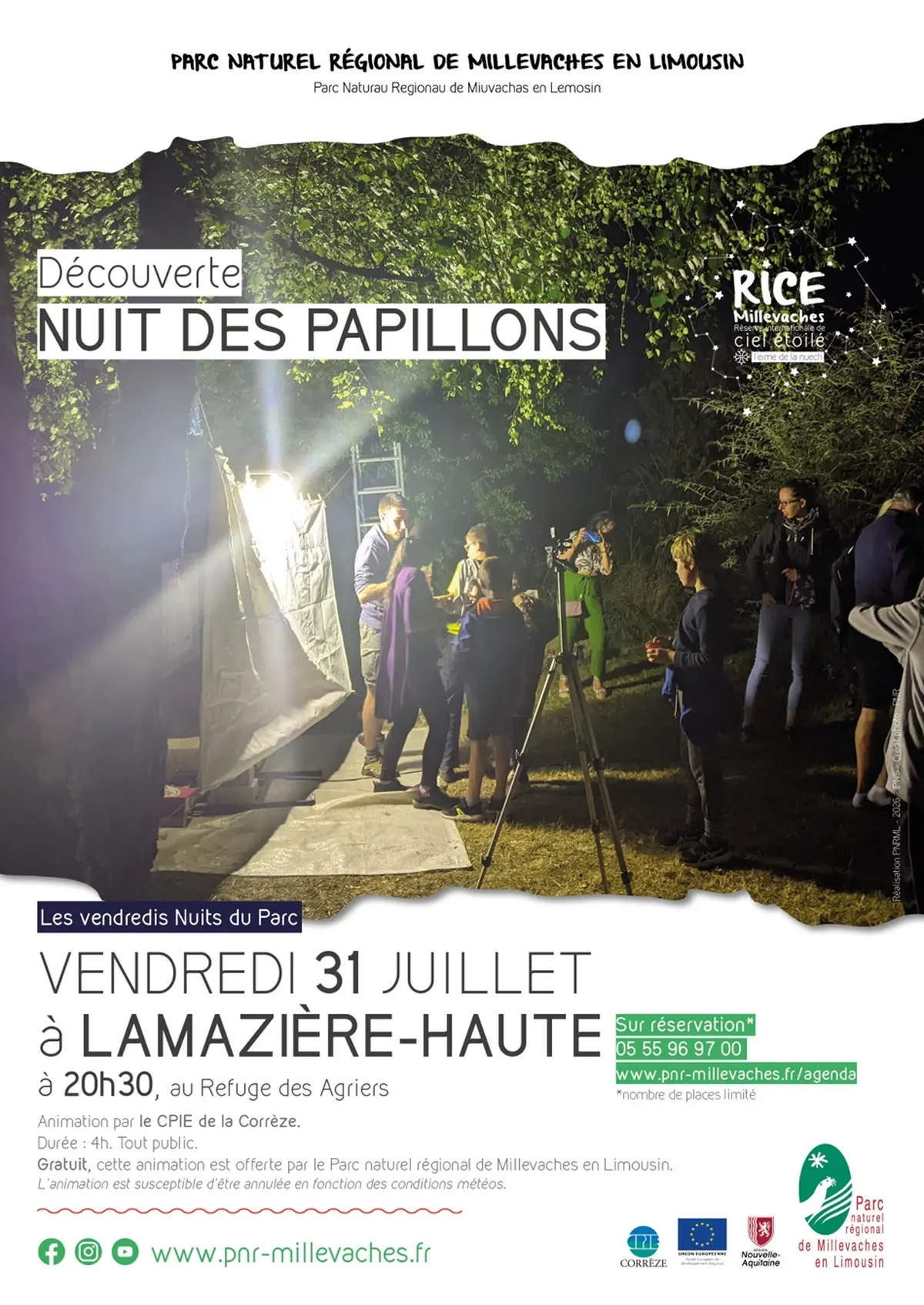 Nuit des papillons