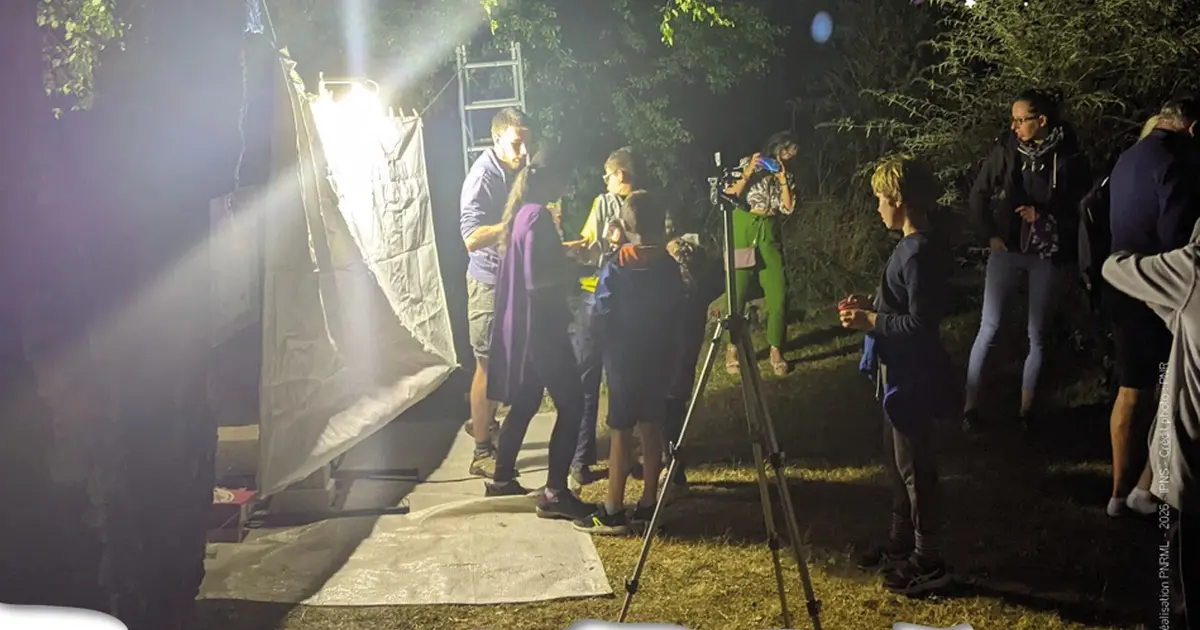 Nuit des papillons