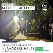 Nuit des papillons