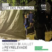 Nuit des papillons