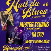 Nuit du blues
