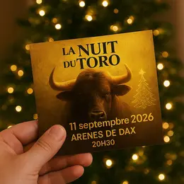 Nuit du toro