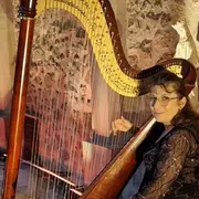 Nuit Européenne des musées Animation musicale sur la harpe avec Angélique Dalbin-Ferrari