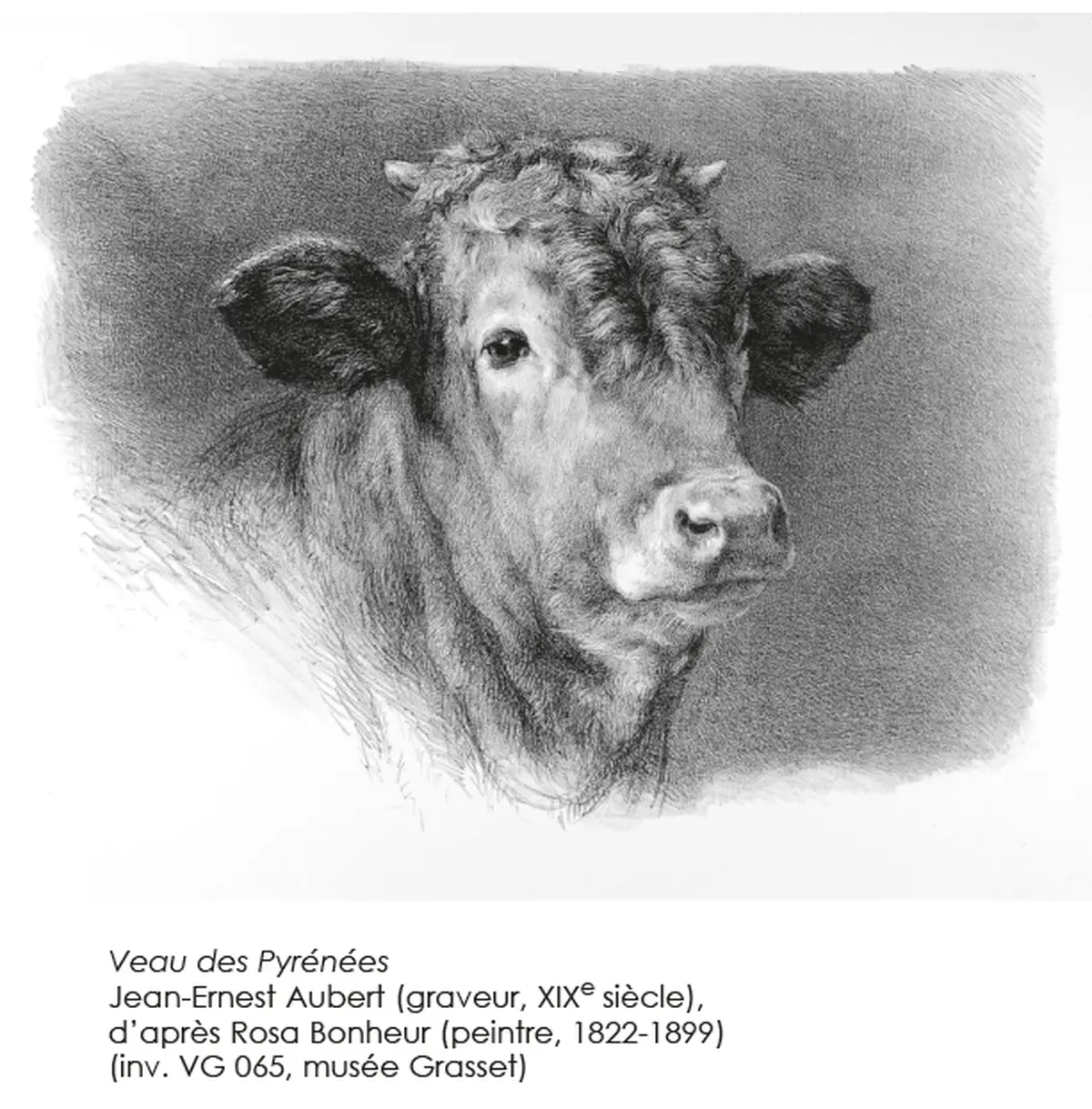 Nuit Européenne des Musées - Exposition La gravure : illustrer, reproduire, créer