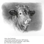 Nuit Européenne des Musées - Exposition La gravure : illustrer, reproduire, créer