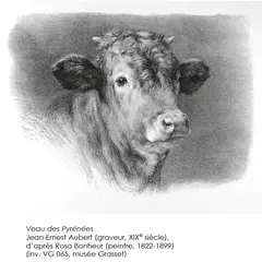 Nuit Européenne des Musées - Exposition La gravure : illustrer, reproduire, créer