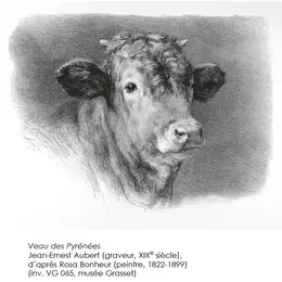 Nuit Européenne des Musées - Exposition La gravure : illustrer, reproduire, créer