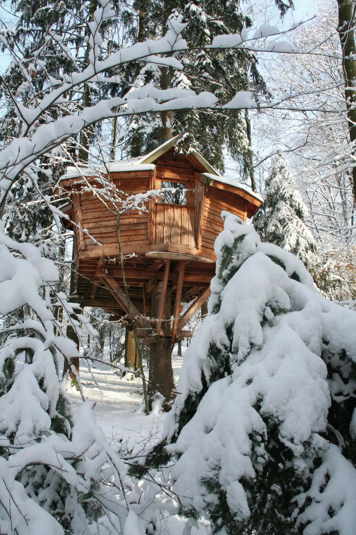 Nuit insolite dans une cabane perchée