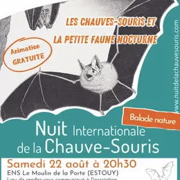 Nuit internationale de la chauve-souris