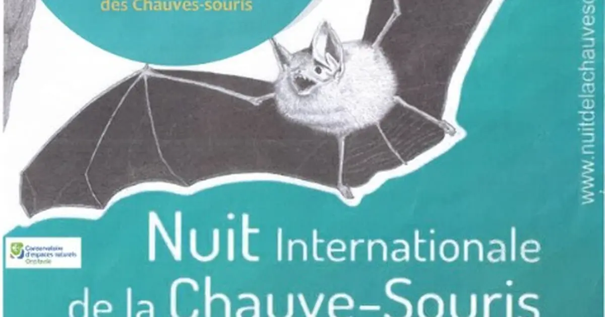 Nuit Internationale De La Chauve-Souris