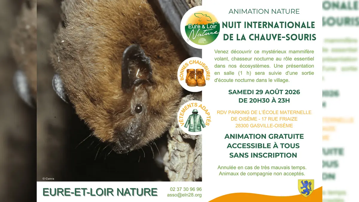 Nuit internationale de la chauve-souris