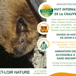 Nuit internationale de la chauve-souris